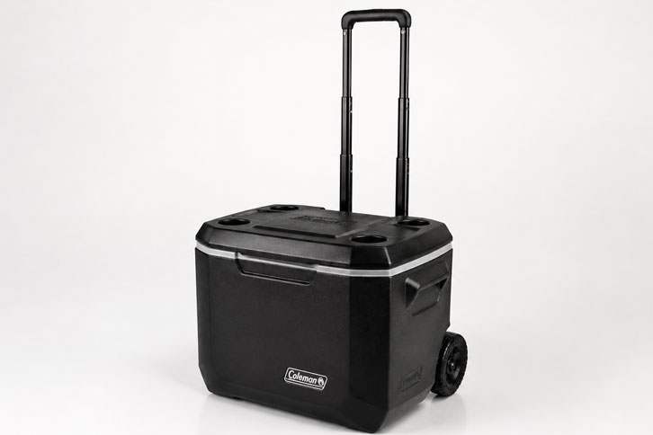 best cooler under $100