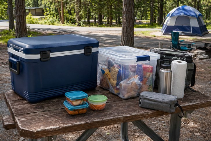 Sealed cooler and food storage bin at a family campsite to keep wildlife away